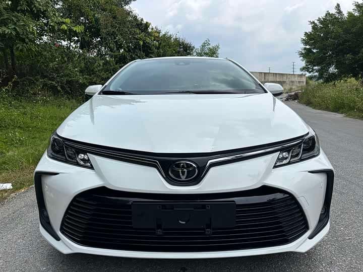 Corolla