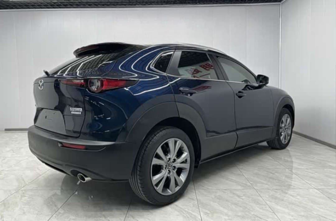 CX-30