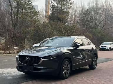 CX-30