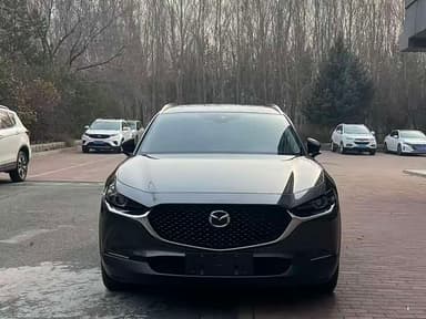 CX-30