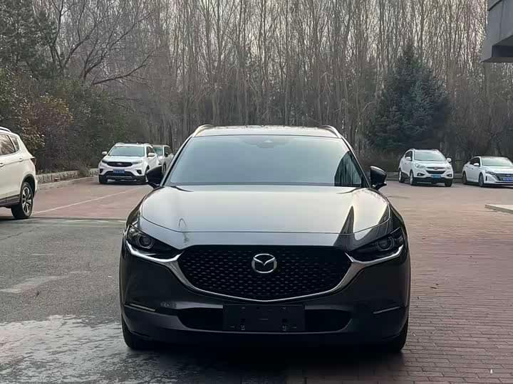 CX-30
