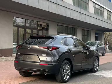 CX-30