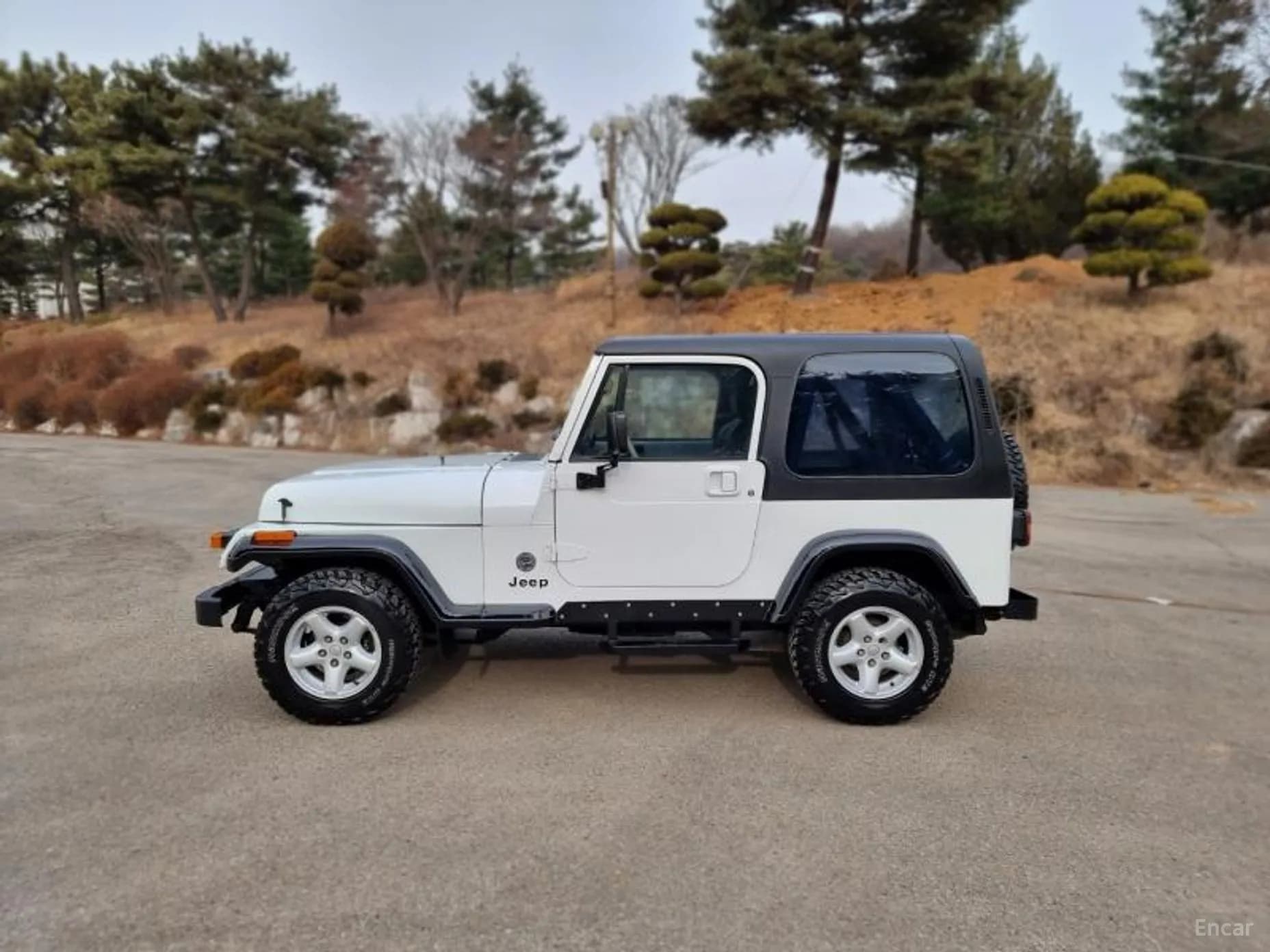 Wrangler (YJ)