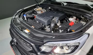 Rexton Sports