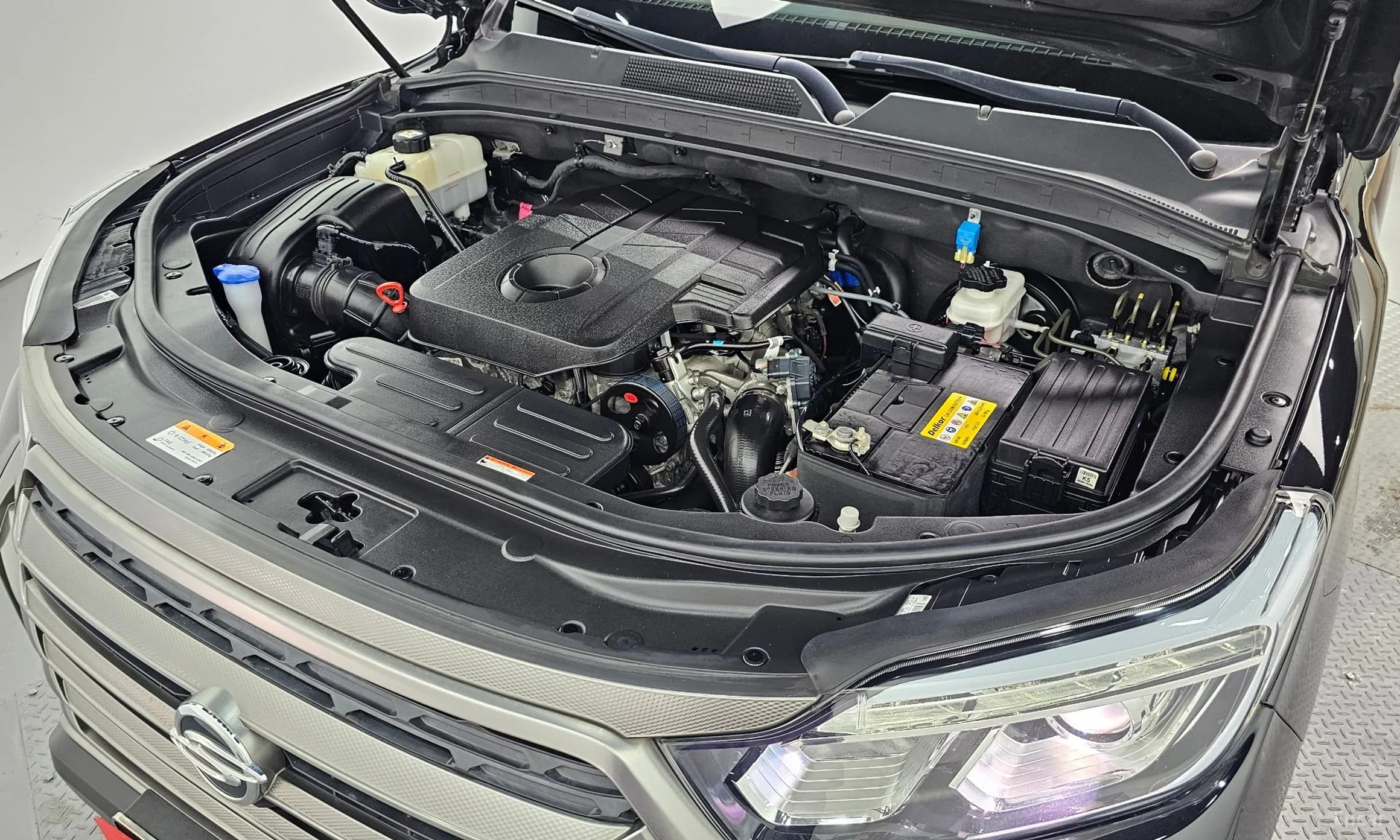 Rexton Sports