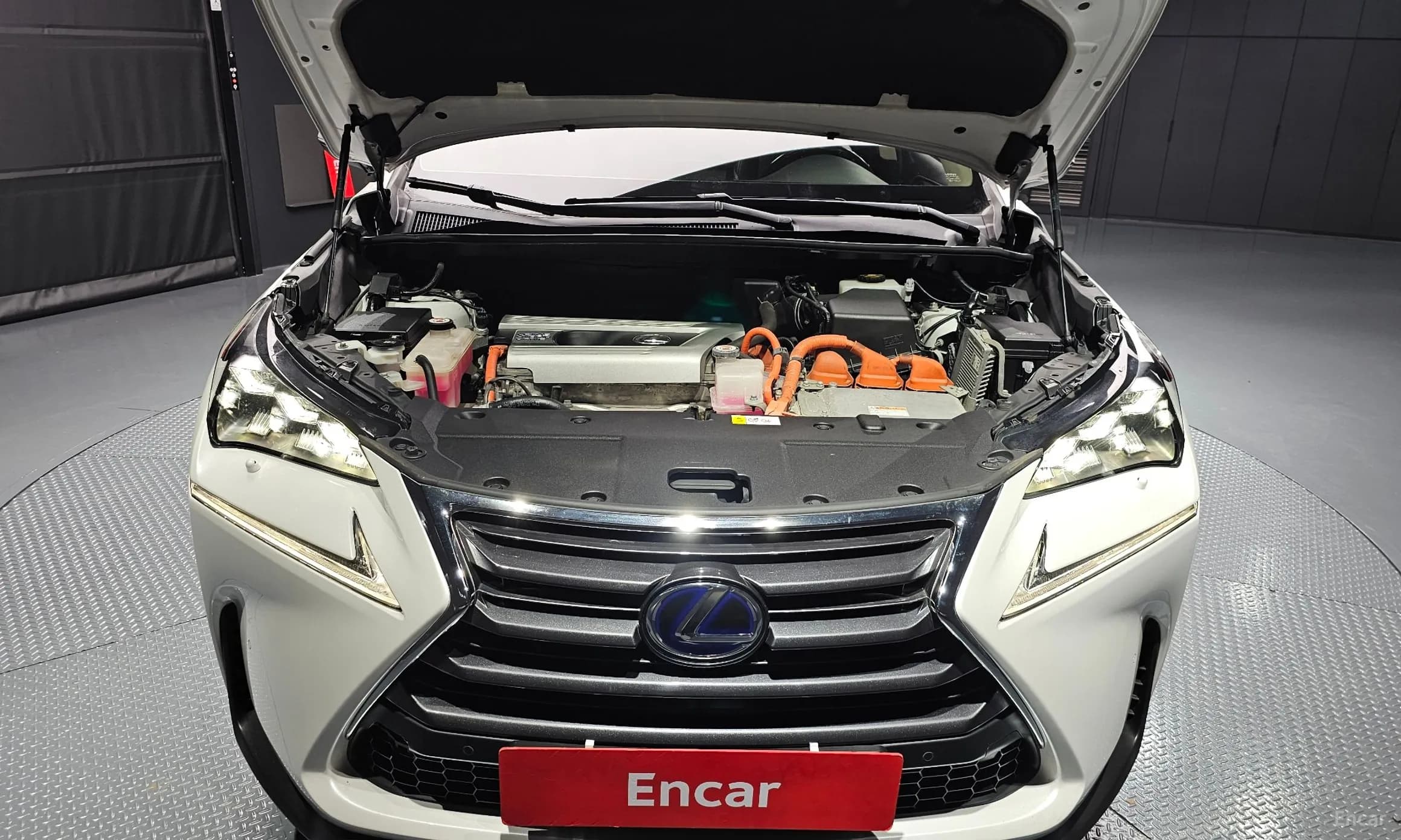NX300h