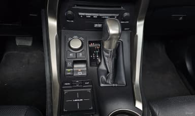 NX300h
