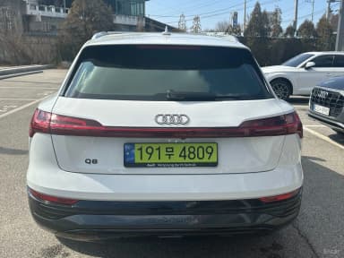 Q8 e-tron (GE)