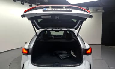 RX500h 5th Generation