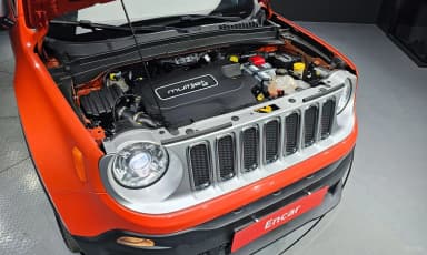 Renegade