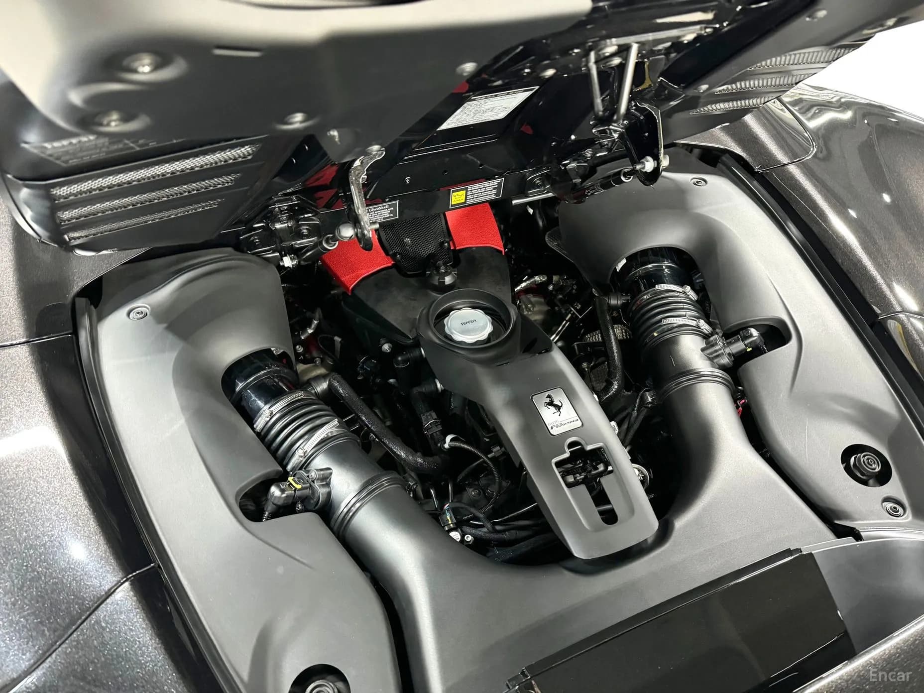 F8 Spider