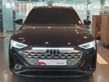 Q8 e-tron (GE)