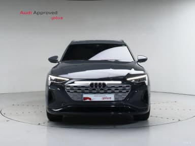 Q8 e-tron (GE)