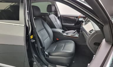 Equus (new)
