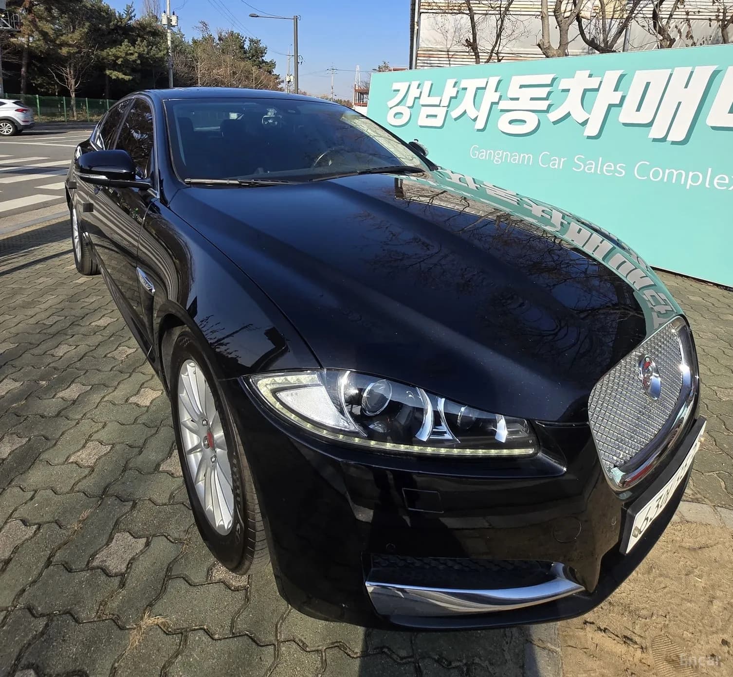 New XF