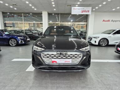 Q8 e-tron (GE)