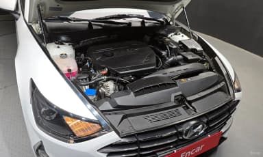 Sonata (DN8)