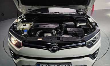 Berry New Tivoli