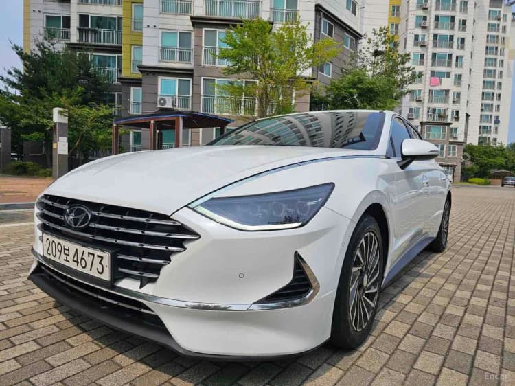 Sonata Hybrid (DN8)