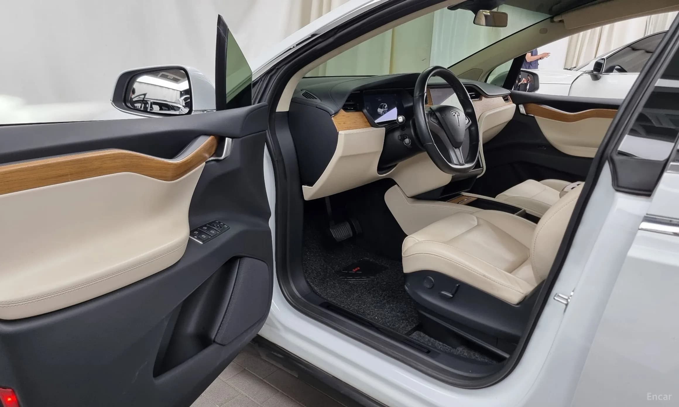 Model X