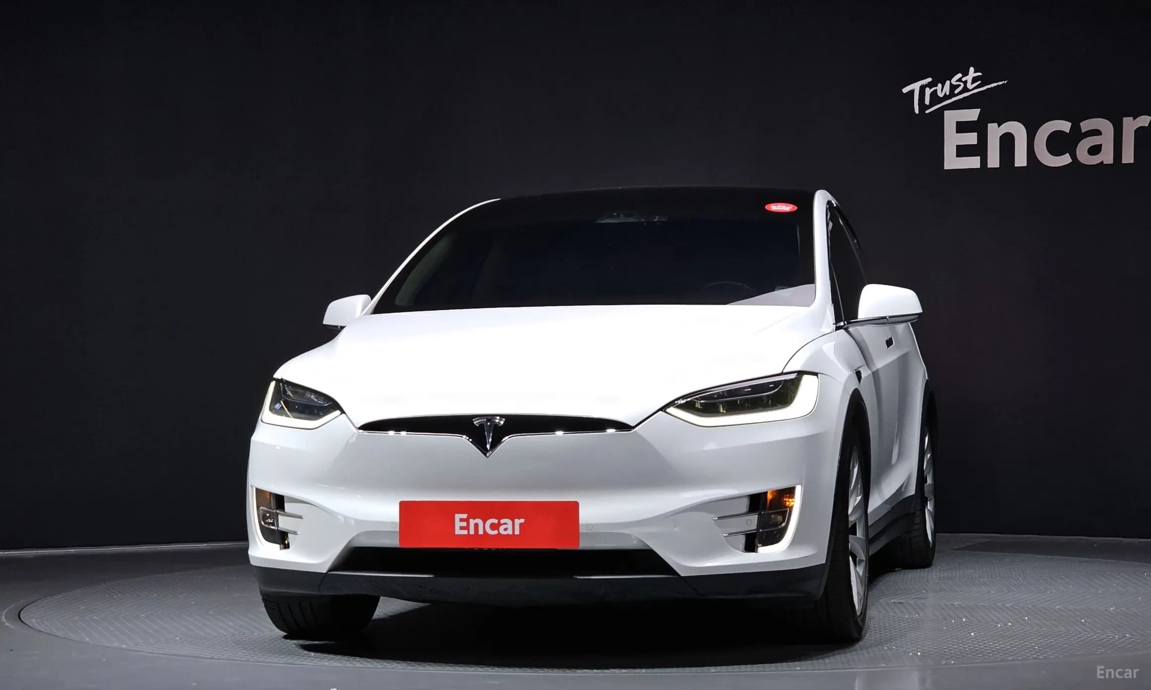 Model X