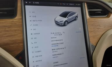 Model X
