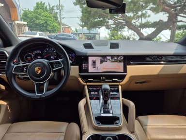 Cayenne (PO536)