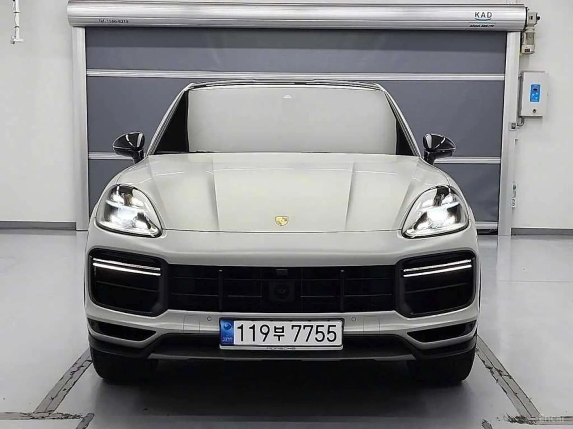 Cayenne (PO536)
