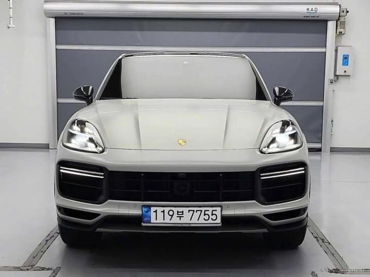 Cayenne (PO536)