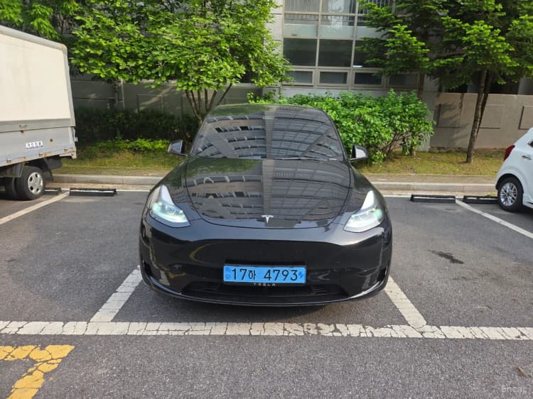 Model Y