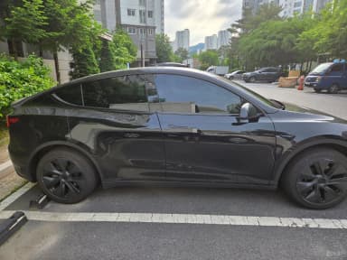 Model Y