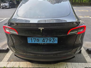 Model Y