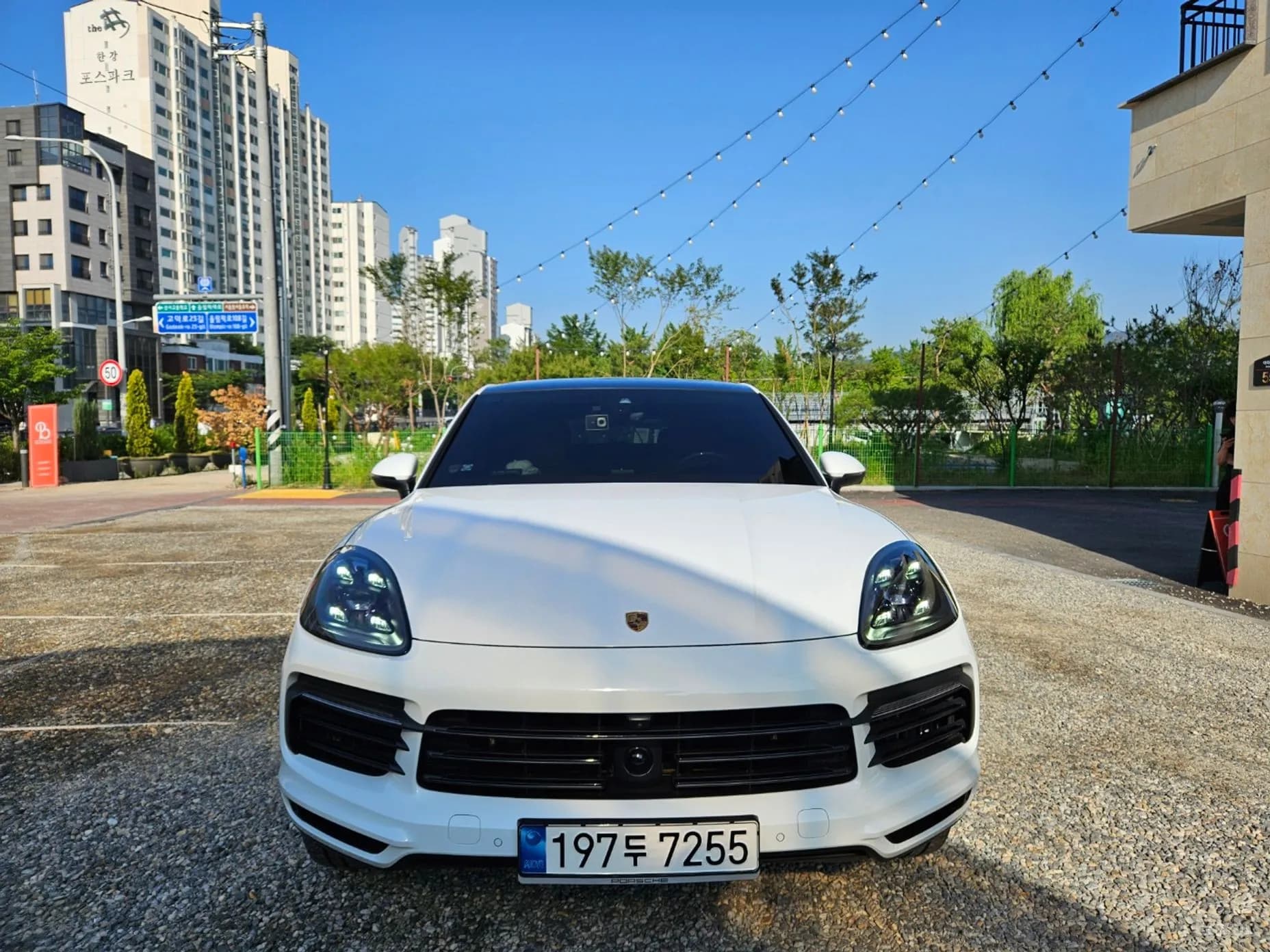 Cayenne (PO536)