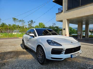 Cayenne (PO536)