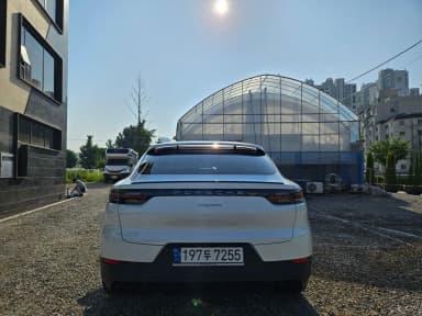 Cayenne (PO536)