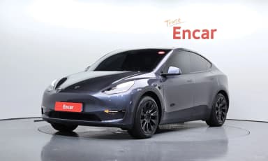 Model Y
