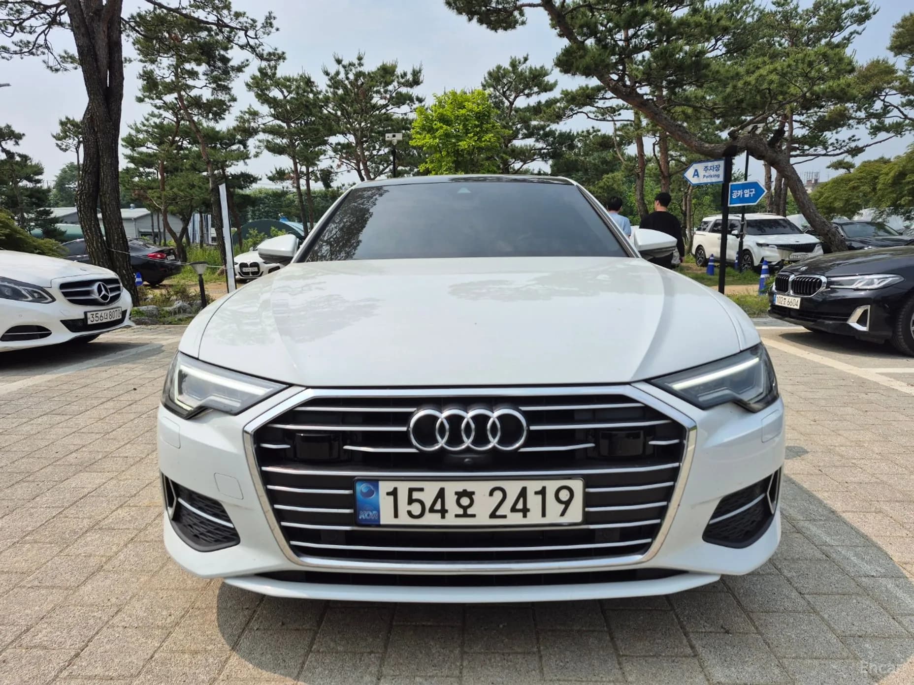 A6 (C8)