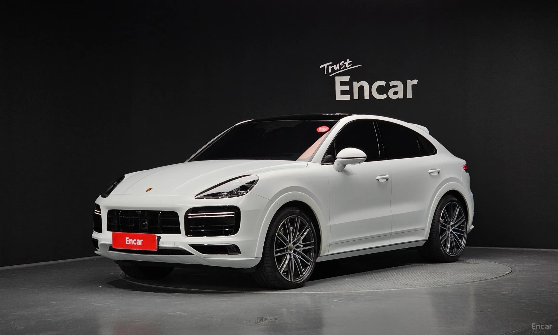 Cayenne (PO536)