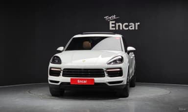 Cayenne (PO536)