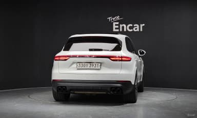 Cayenne (PO536)