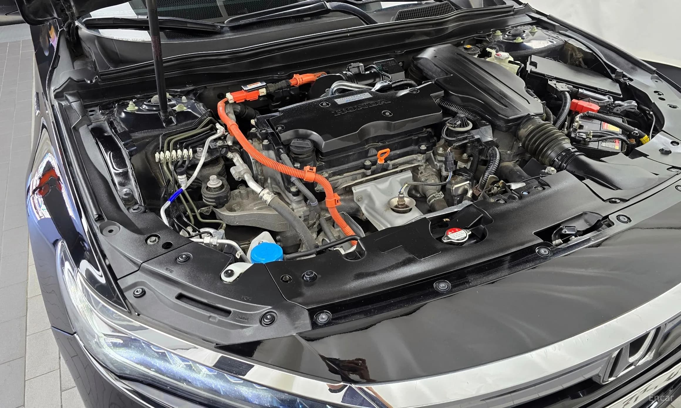 Accord 10th Generation