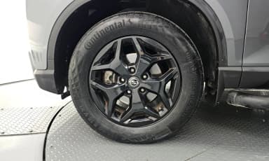 Rexton Sports