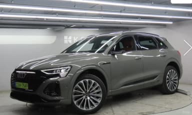 Q8 e-tron (GE)