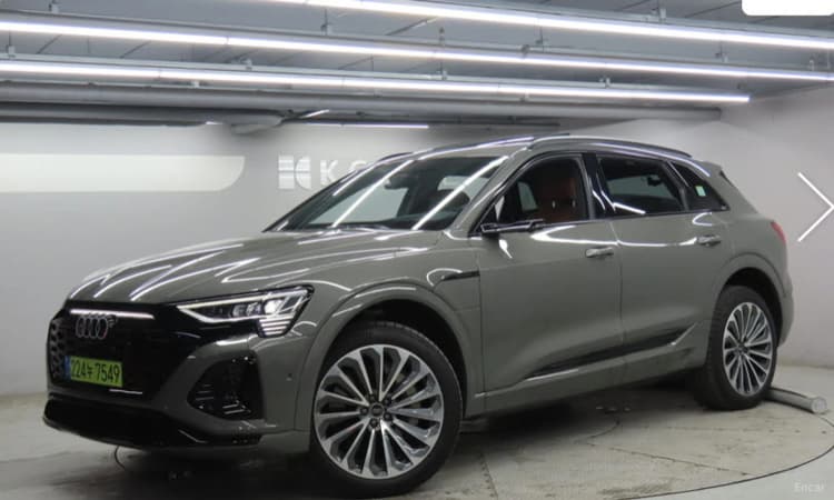 Q8 e-tron (GE)