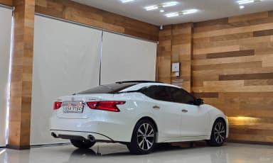 Maxima (A36)