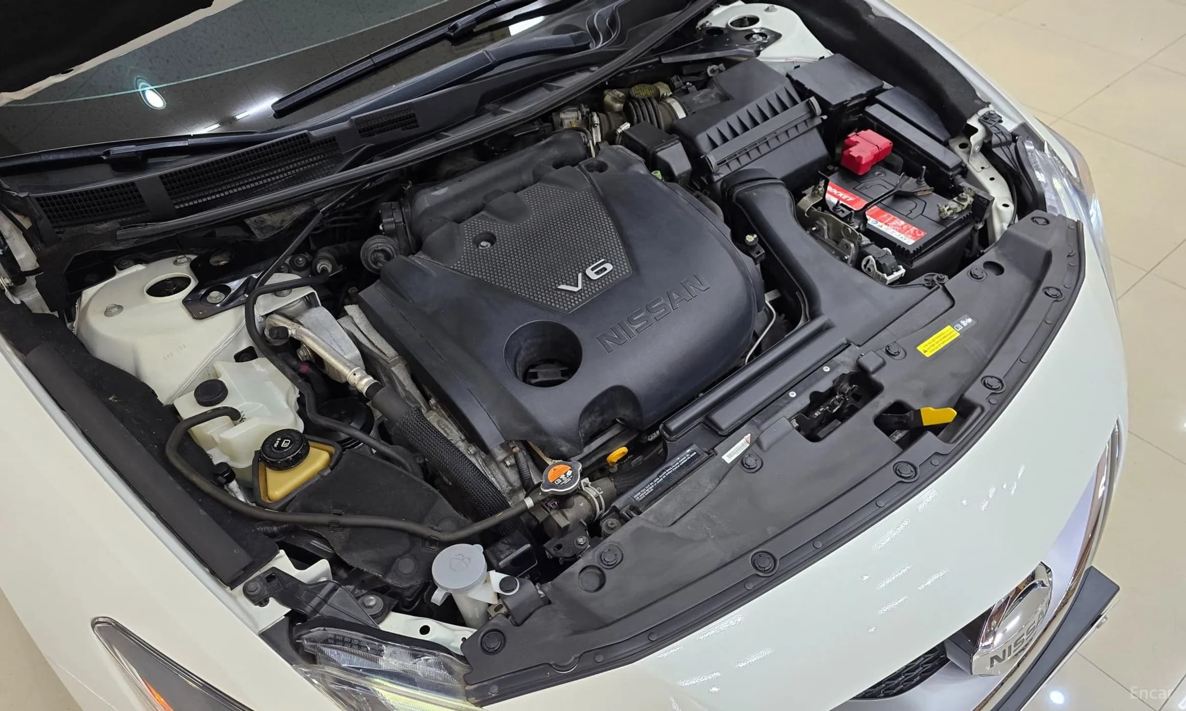 Maxima (A36)