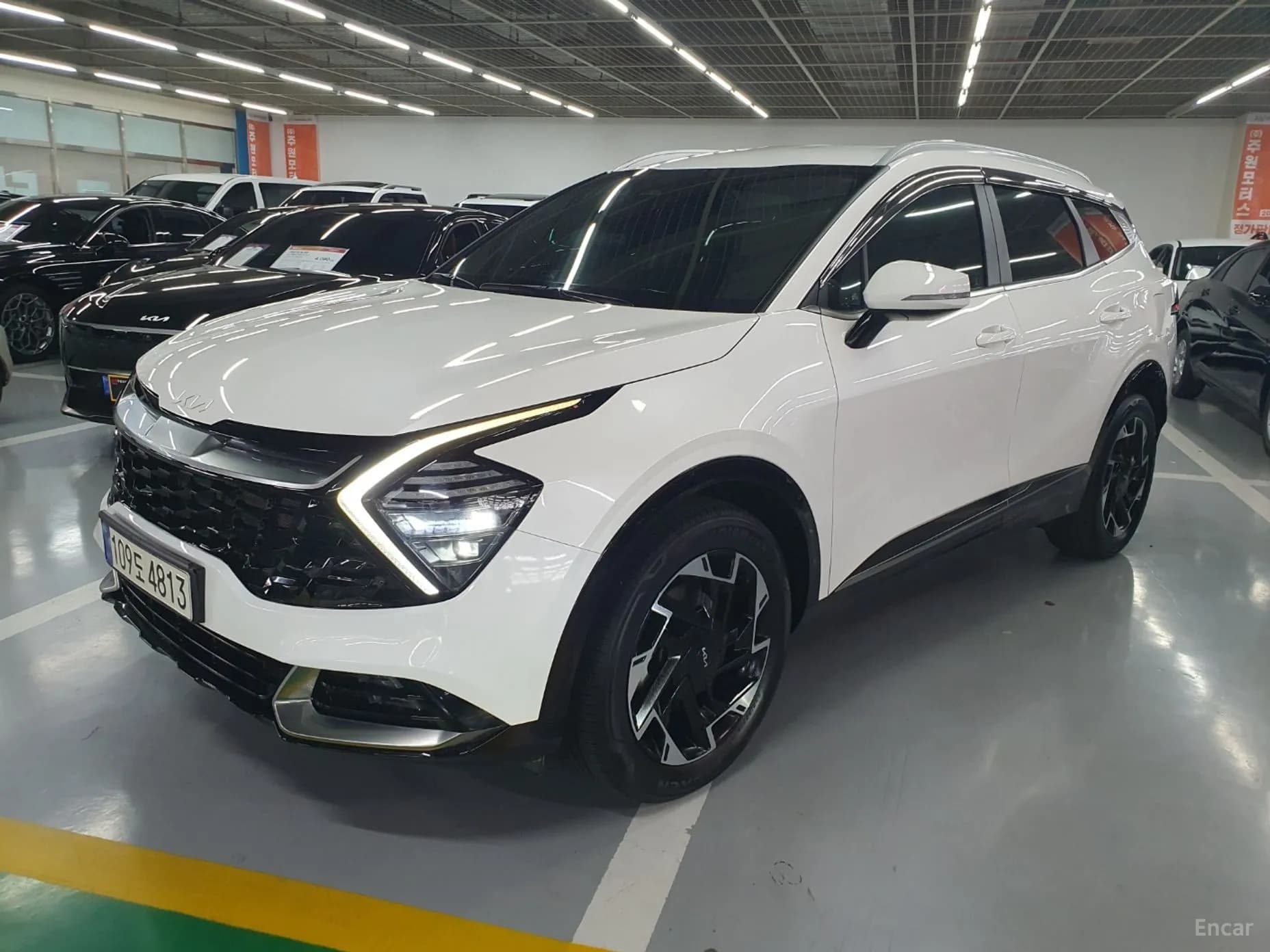 Sportage 5th Generation