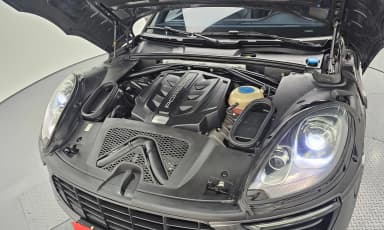 Macan