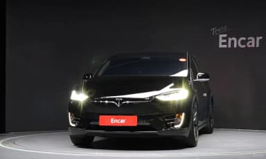 Model X