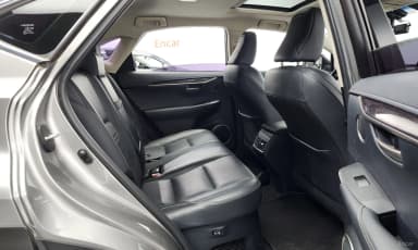 NX300h